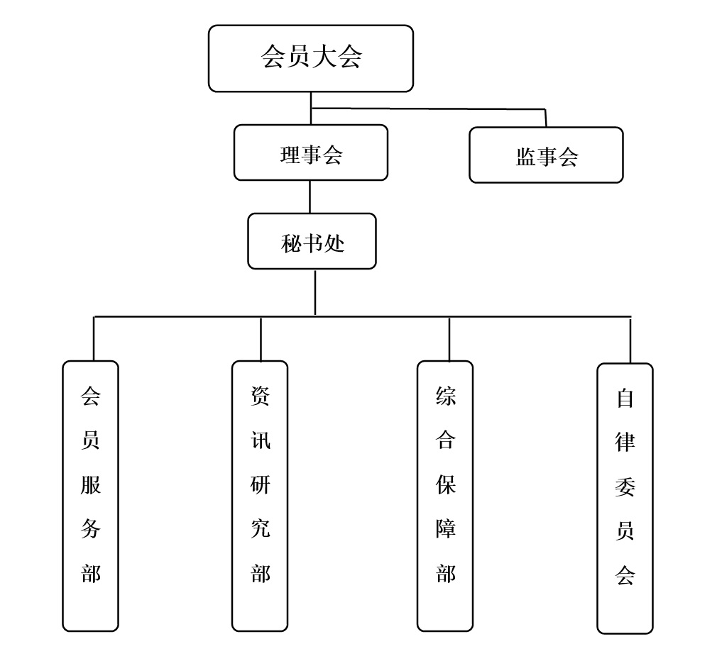 组织结构.jpg